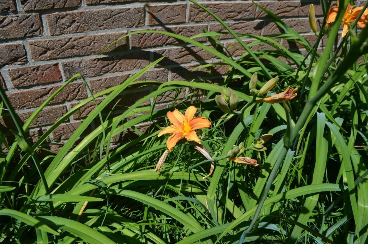 Kutter Im Schiffehaus Apartamento Schillig Exterior foto