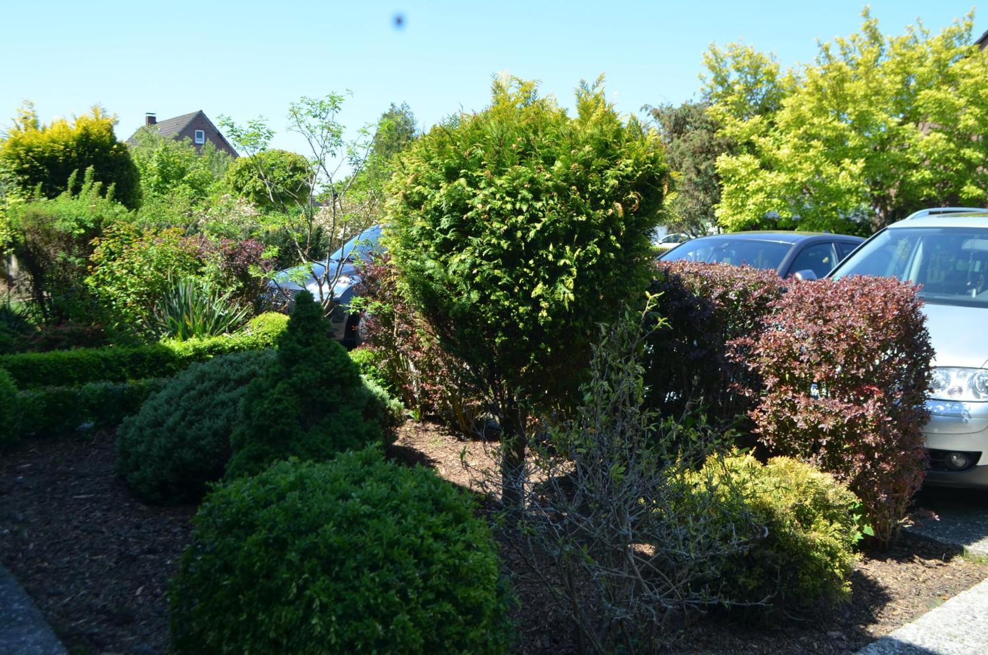Kutter Im Schiffehaus Apartamento Schillig Exterior foto